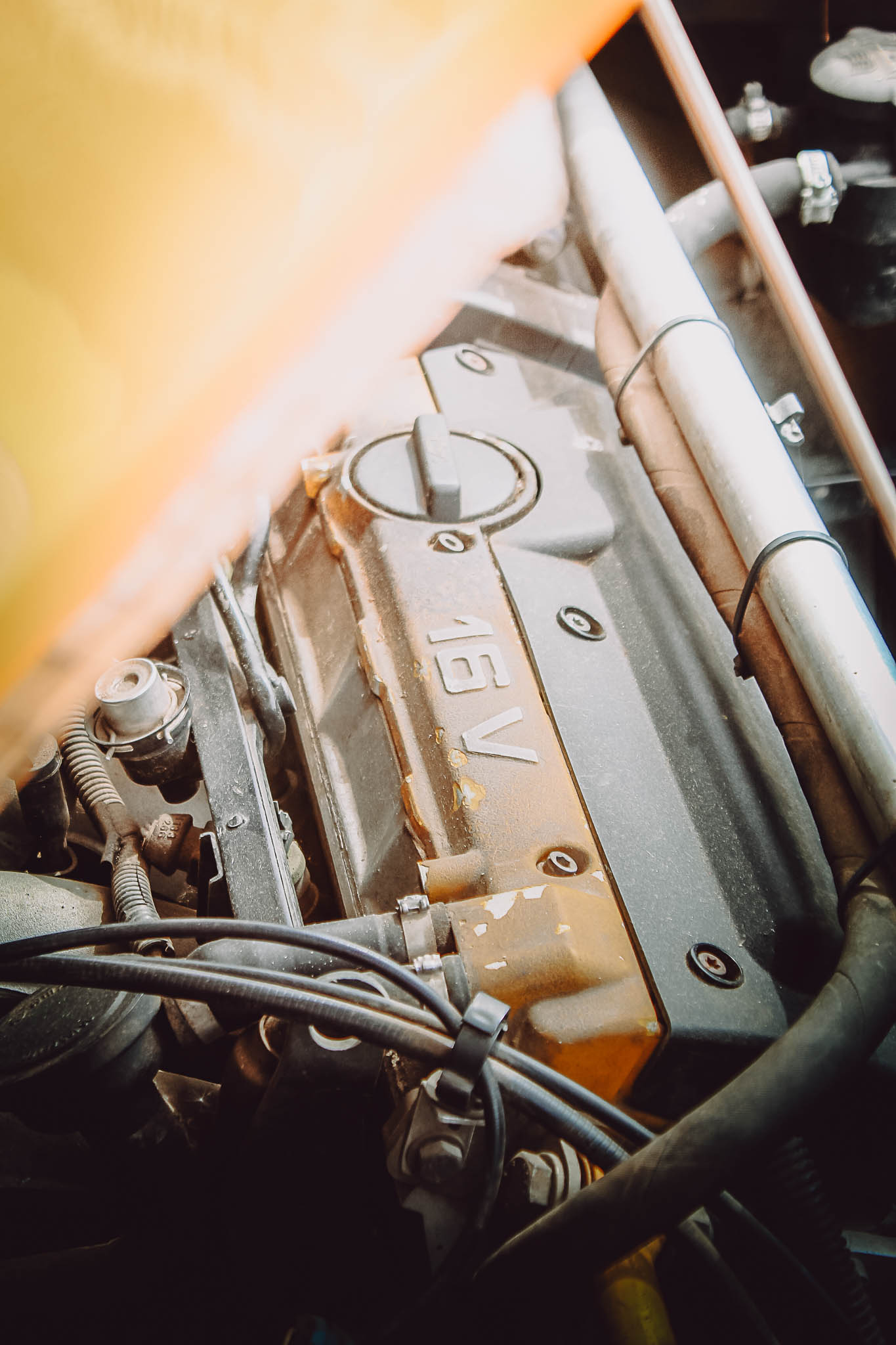 Image sans description