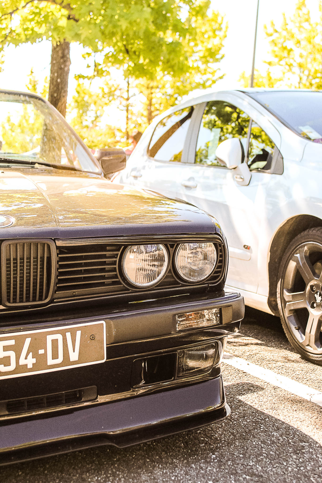 Image sans description