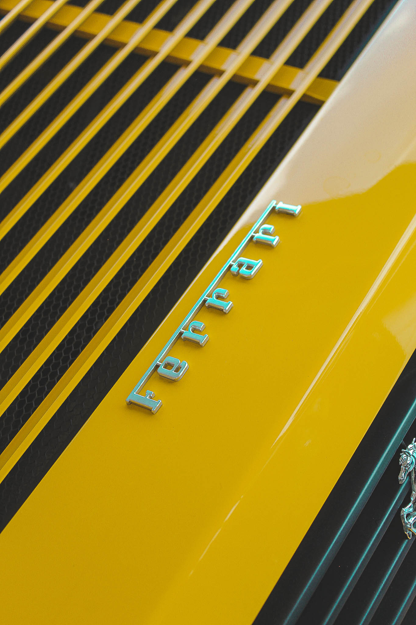 Image sans description