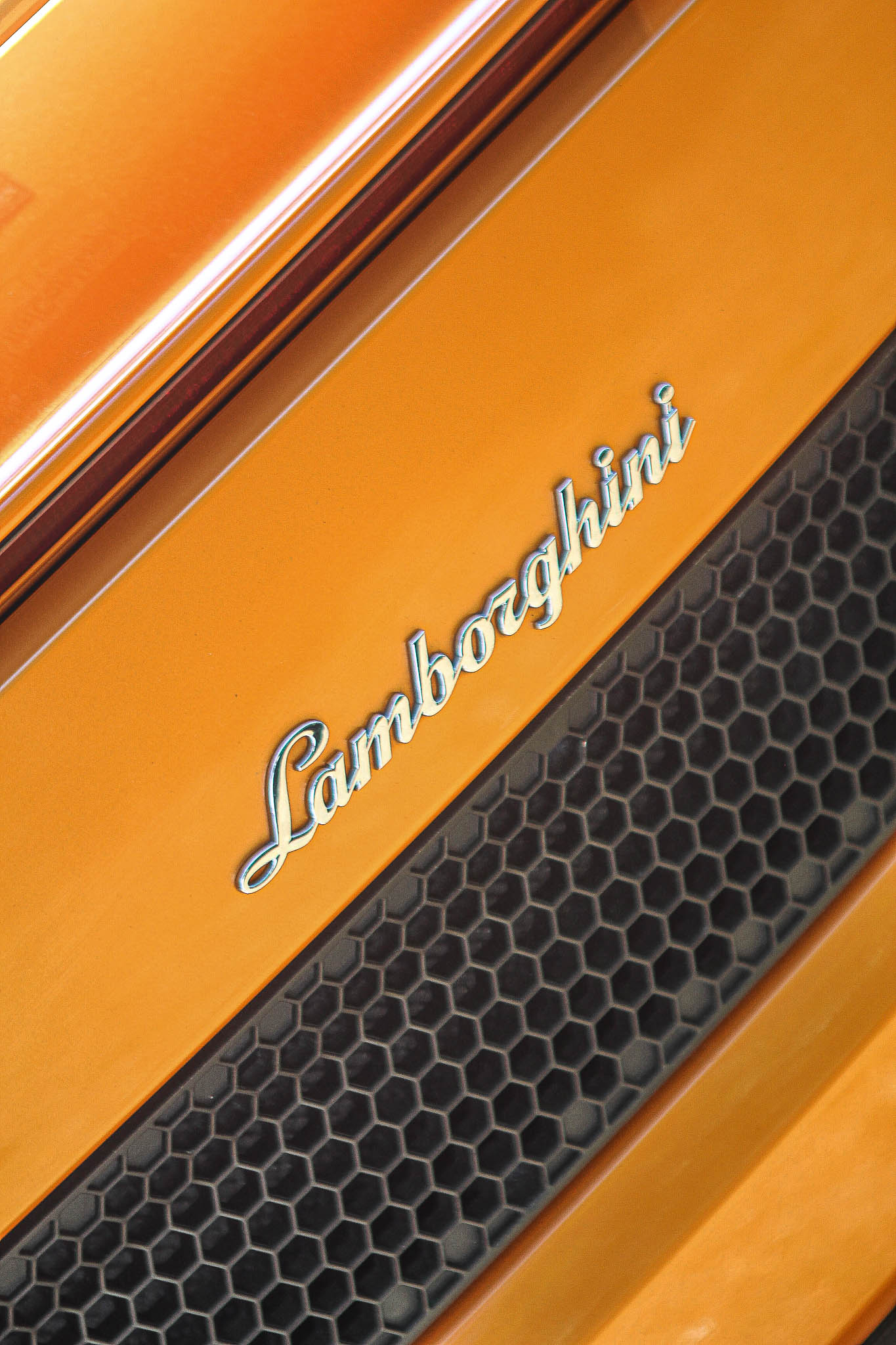 Image sans description