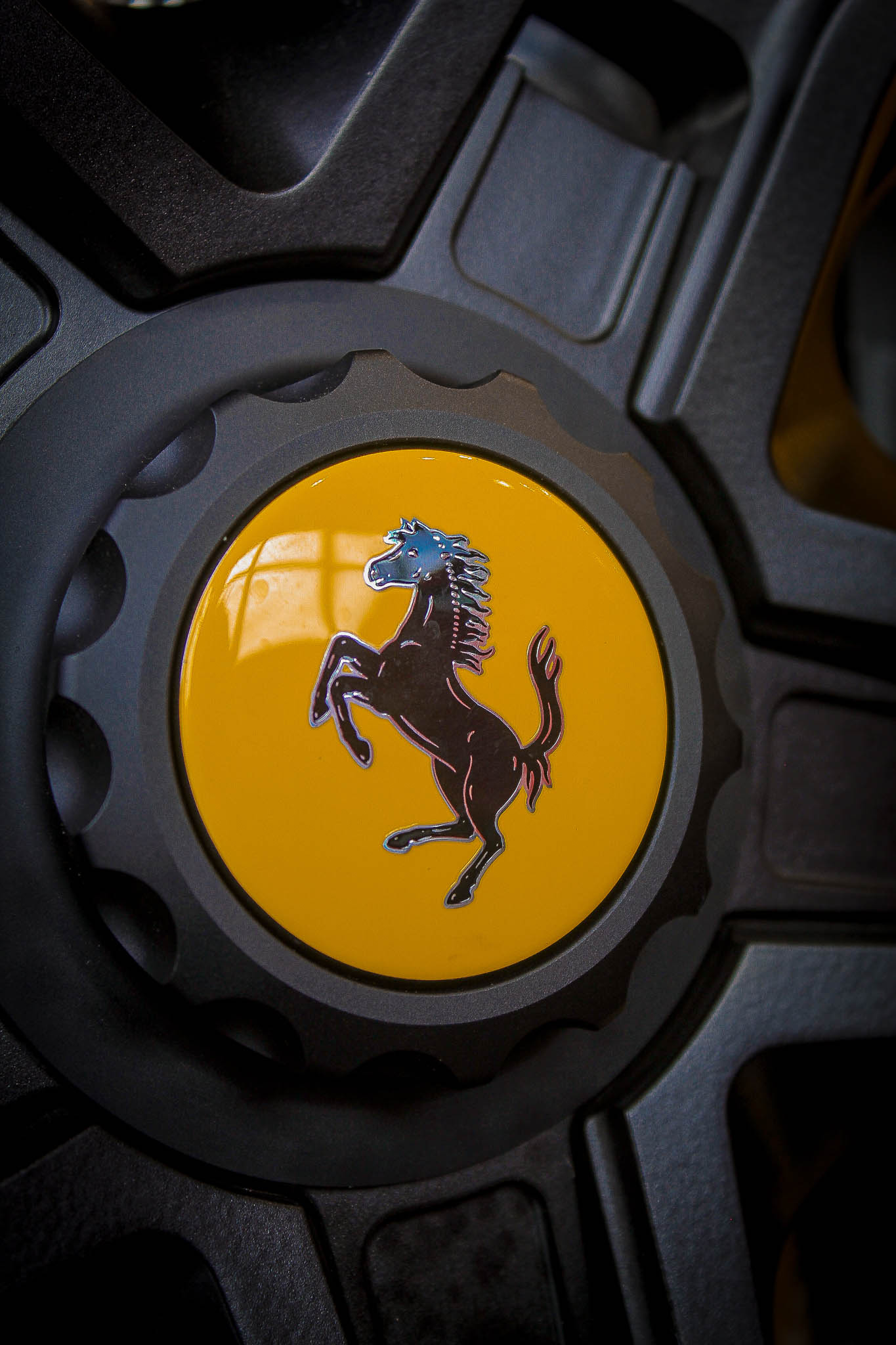 Image sans description